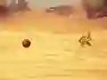 Spel Monkey Shooting på nätet