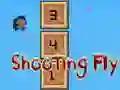 Spel Shooting Fly på nätet