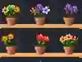 Spel Good Flower Master på nätet