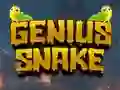 Spel Genius Snake på nätet