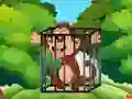 Spel Free the Captive Ape på nätet