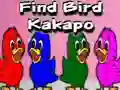 Spel Find Bird Kakapo på nätet