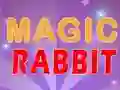 Spel Magic Rabbit på nätet