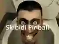Spel Skibidi Pinball på nätet