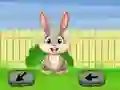 Spel Springtime Escape på nätet