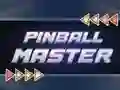 Spel Pinball Master på nätet