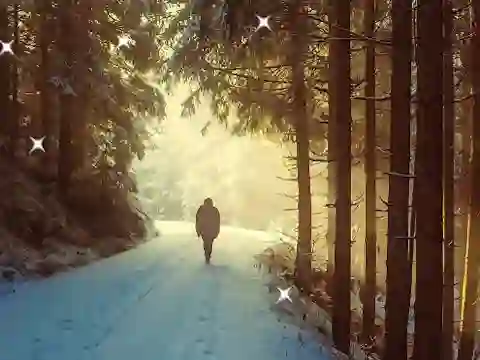 Spel Winter Hidden Stars på nätet