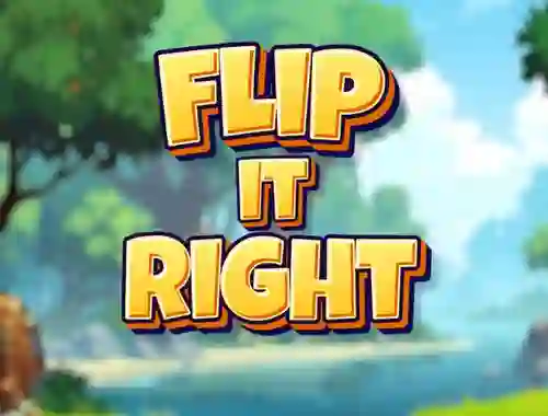 Spel Flip It Right på nätet
