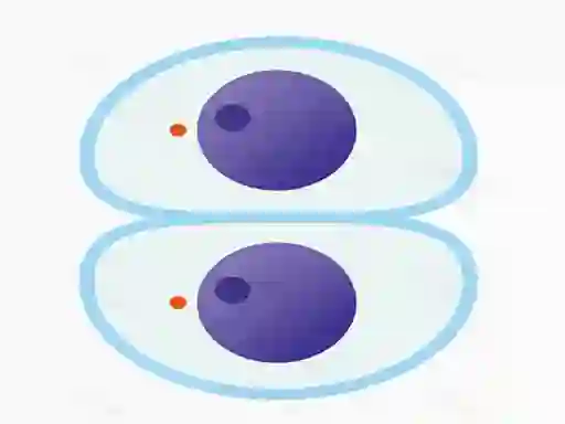 Spel Cutting master på nätet