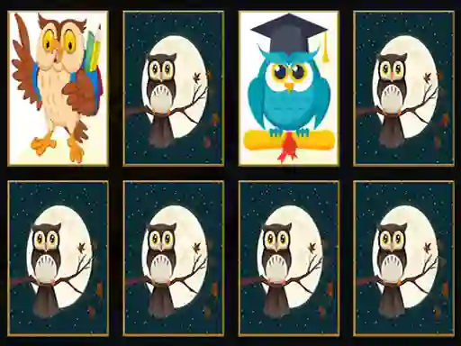 Spel Cute Owl Memory på nätet