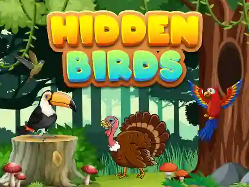 Spel Hidden Birds på nätet