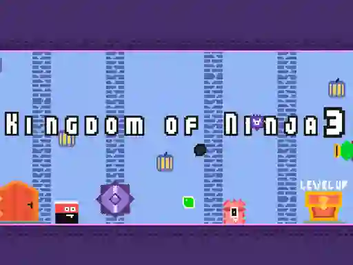 Spel Kingdom of Ninja 3 på nätet