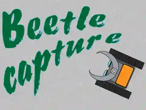 Spel Beetle Capture på nätet