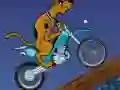 Spel Scooby Doo Trail på nätet