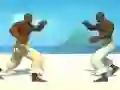 Spel Capoeira fighter på nätet