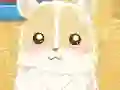 Spel Hamster Love på nätet