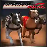 Spel Greyhound Racing på nätet