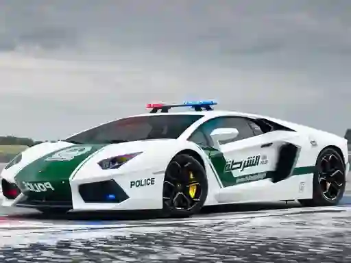 Spel Police Cars Jigsaw Puzzle på nätet