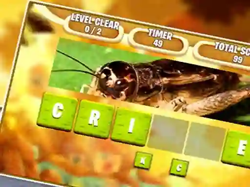 Spel Kids Scrambled Word på nätet