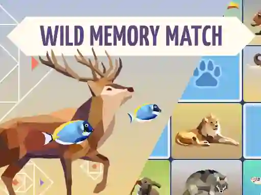 Spel Wild Memory Match på nätet