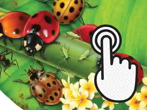 Spel Ladybug Clicker på nätet