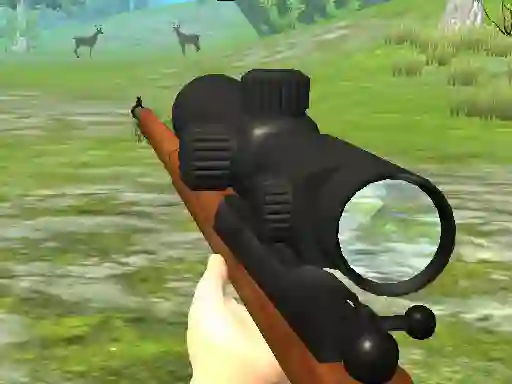 Spel Hunter 3D på nätet
