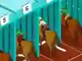 Spel Derby racing på nätet