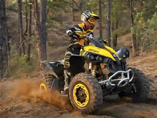 Spel ATV Offroad Puzzle på nätet
