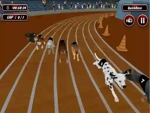 Spel Crazyl Dog Racing Fever på nätet