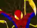 Spel Spiderman Customization på nätet
