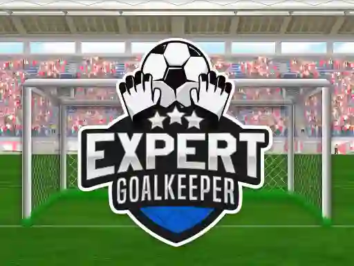 Spel Expert Goalkeeper på nätet