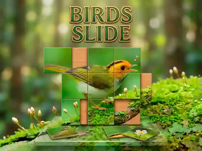 Spel Birds Slide på nätet
