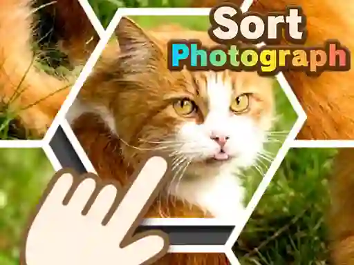 Spel Sort Photograph på nätet