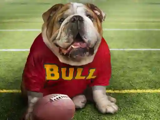 Spel Funny Doggy på nätet