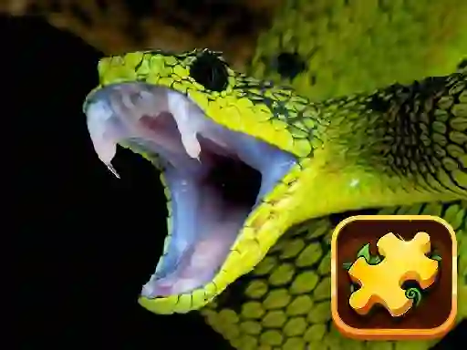 Spel Snake Puzzle Challenge på nätet