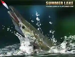 Spel Summer Lake på nätet