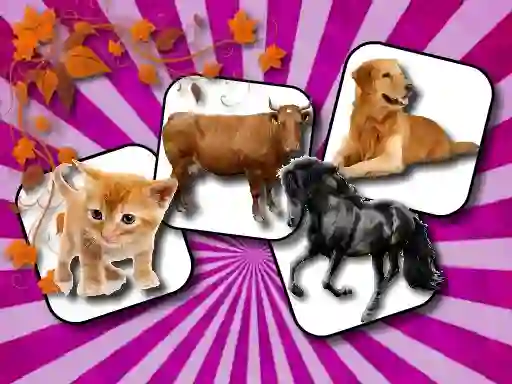 Spel Domestic Animal Memory Challenge på nätet