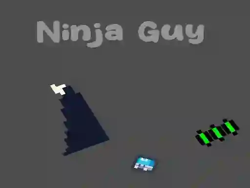 Spel Ninja Guy på nätet