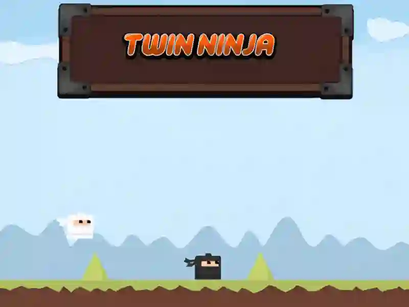 Spel Twin Ninja på nätet