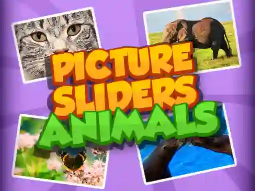Spel Picture Slider Animals på nätet