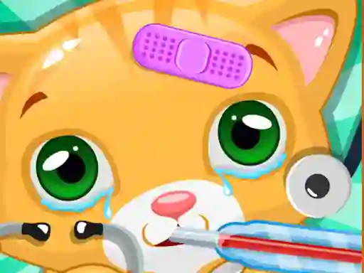 Spel Little Cat Doctor på nätet