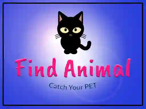 Spel Find Animal på nätet