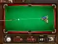 Spel Penthouse Pool på nätet