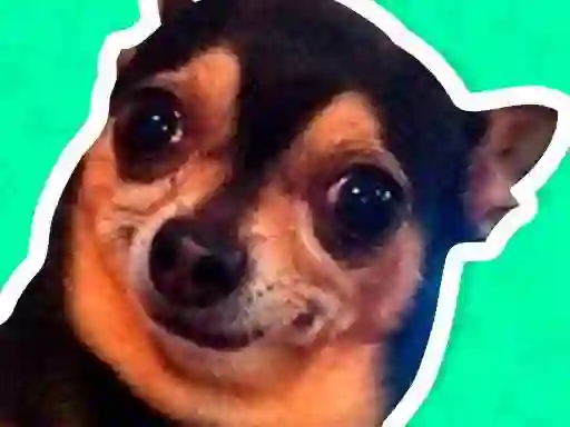 Spel What meme dog are you ? på nätet