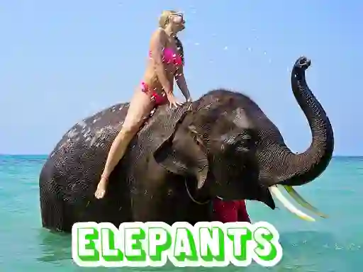 Spel Elephants Puzzle på nätet