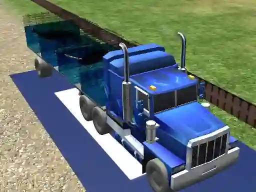 Spel Sea Animal Transport på nätet