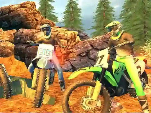 Spel Offroad Motorcycle Bike Racing 2020 på nätet