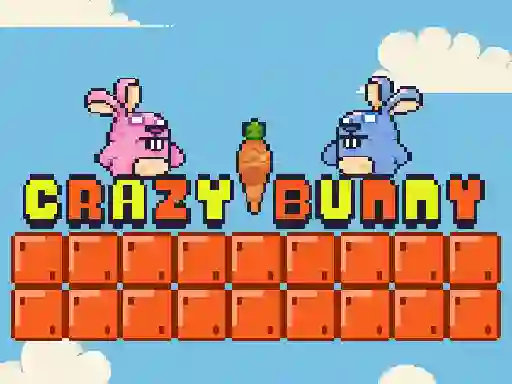 Spel Crazy Bunny på nätet