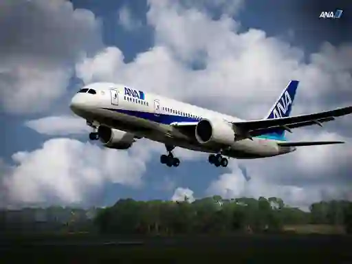 Spel Boeing Dreamliner Puzzle på nätet
