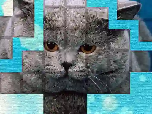Spel PicPu Cat på nätet
